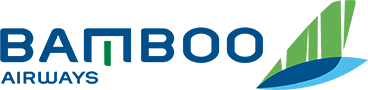 Airline logo
