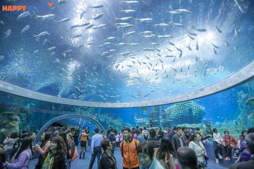 Khám phá Viện Hải Dương Học Nha Trang 