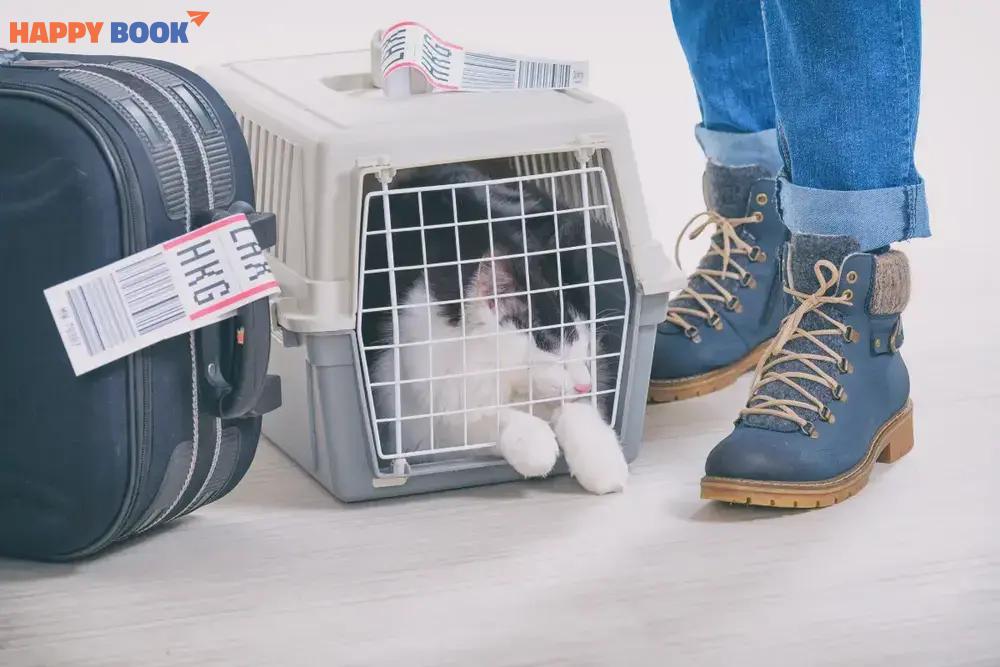 Lồng vận chuyển của thú cưng phải đảm bảo tính thoải mái, an toàn.