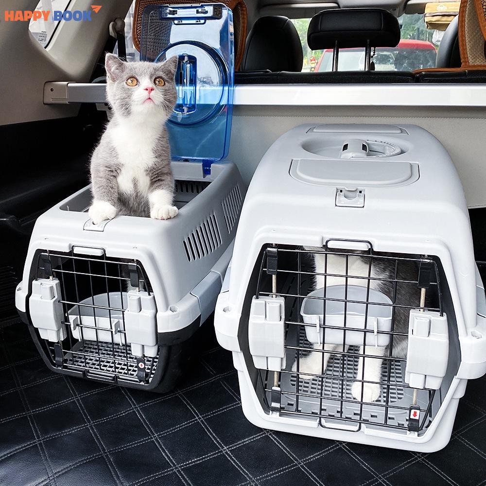Một số kinh nghiệm khi vận chuyển chó mèo bằng máy bay