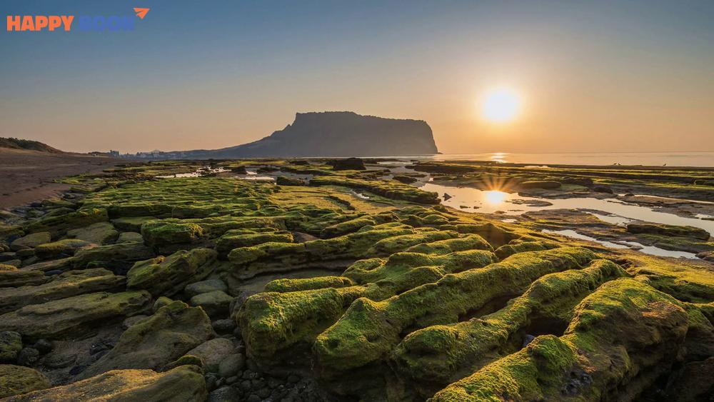 Những câu hỏi thường gặp khi đặt vé máy bay đi Jeju