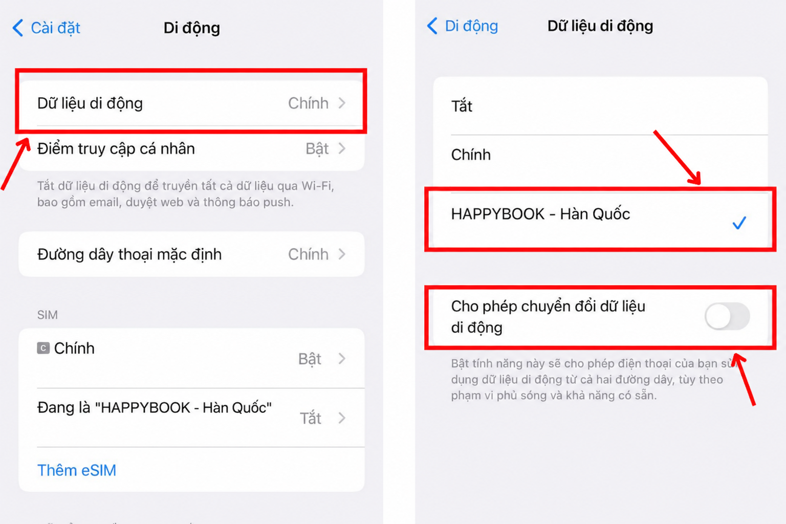 eSIM guide step image